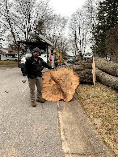 J.M. Tree Service gallery 5