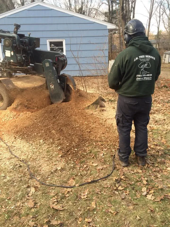 J.M. Tree Service gallery 7