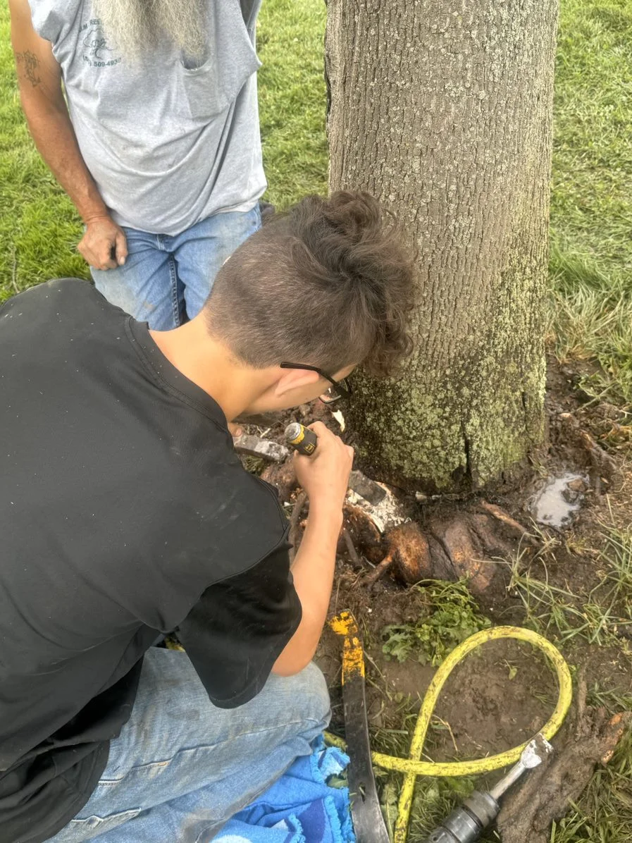 J.M. Tree Service gallery 9