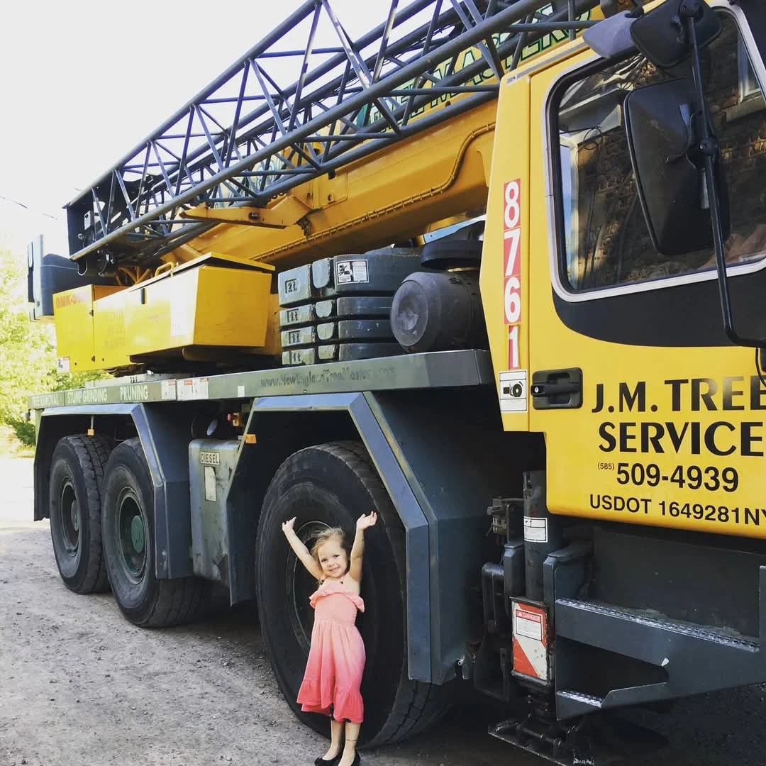 J.M. Tree Service gallery 10