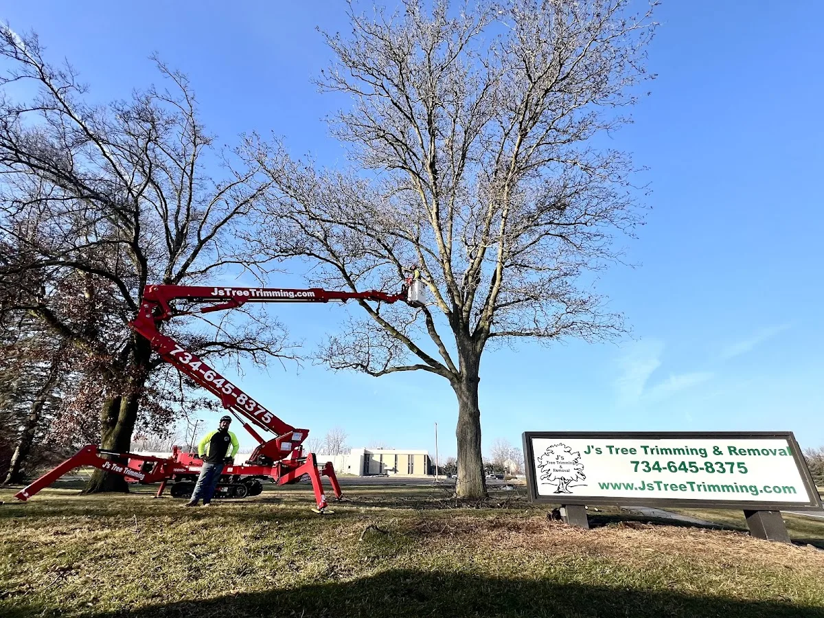 J's Tree Trimming & Removal, Inc.