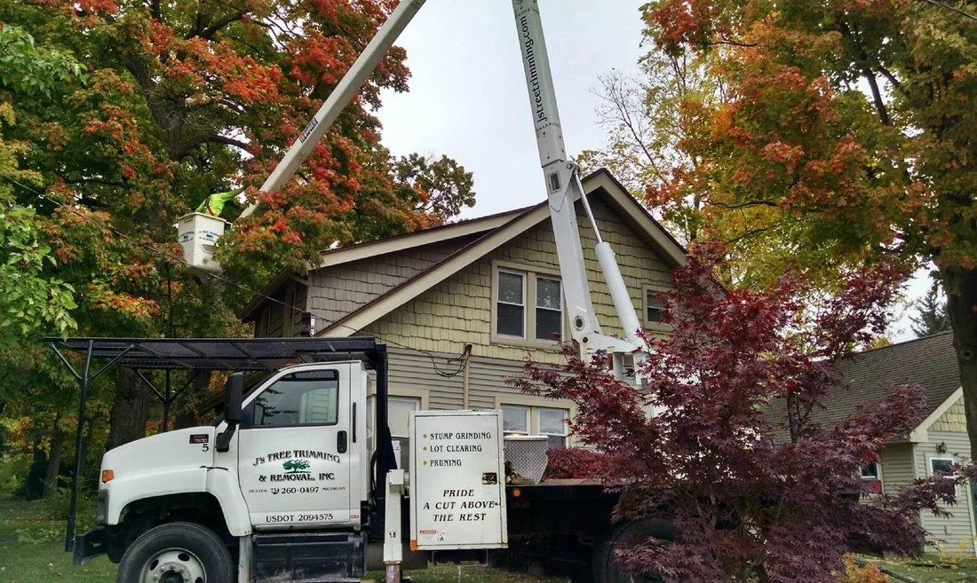 J's Tree Trimming & Removal, Inc. gallery 2