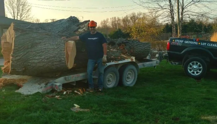 J's Tree Trimming & Removal, Inc. gallery 5