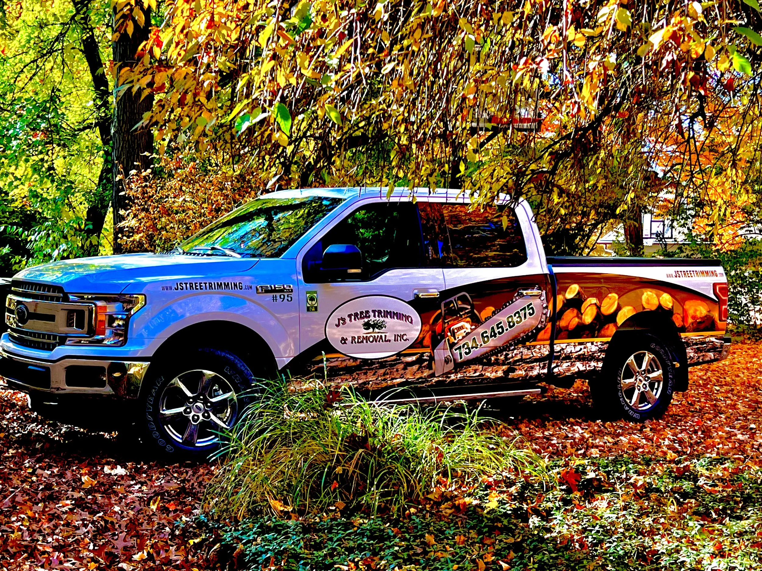 J's Tree Trimming & Removal, Inc. gallery 6