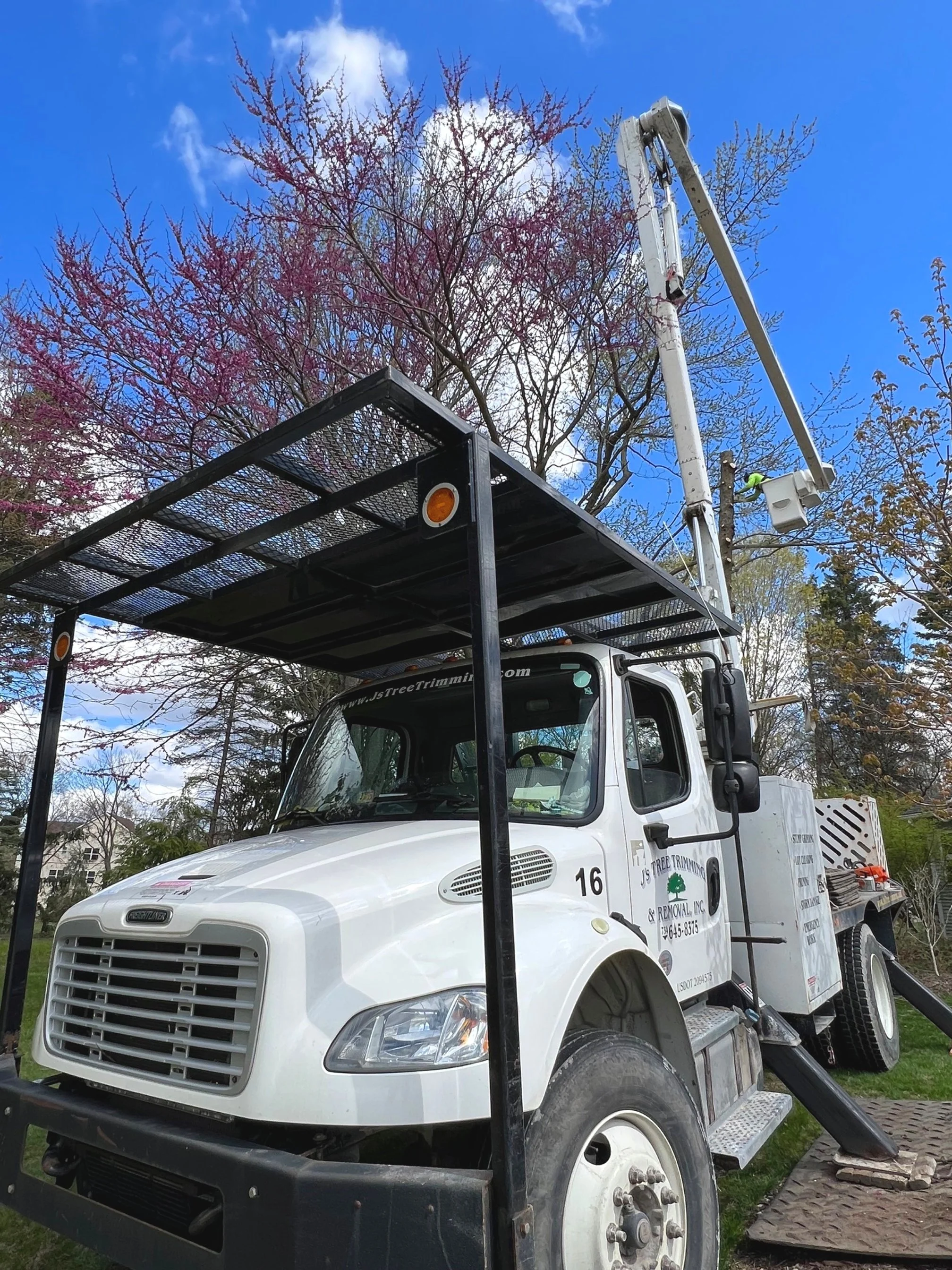 J's Tree Trimming & Removal, Inc. gallery 8