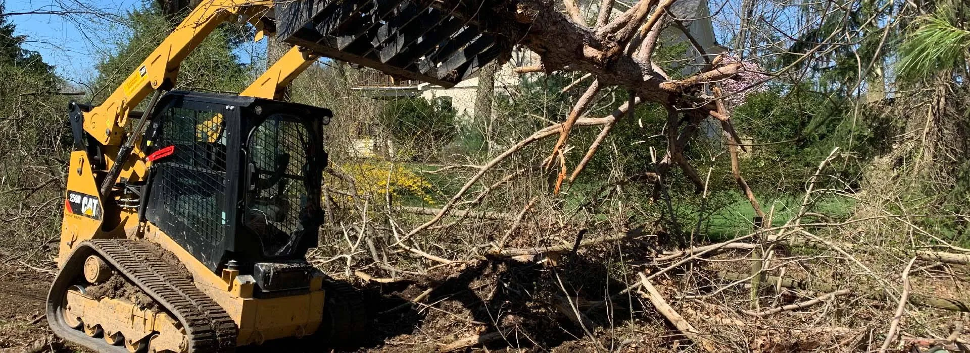 Jack's Tree Service gallery 3