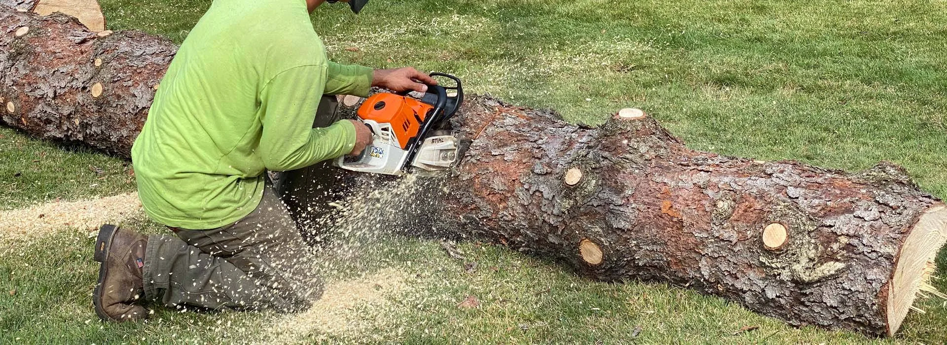 Jack's Tree Service gallery 4