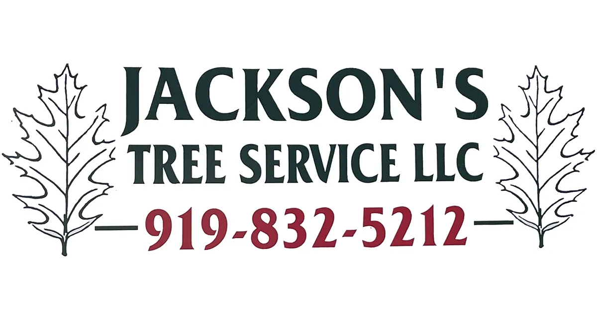 Jackson’s Tree Service, LLC gallery 3