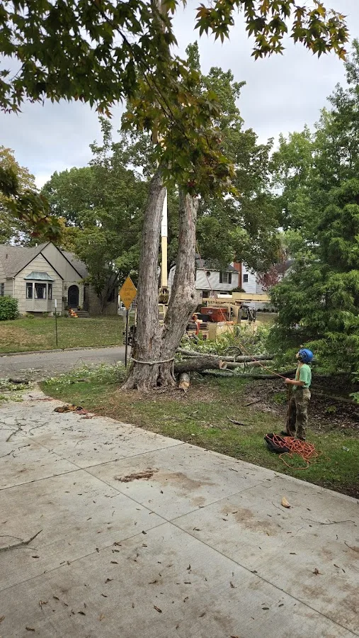 Jacob Sauer Tree Care