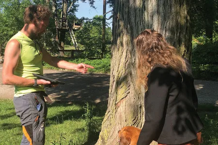 Jacob Sauer Tree Care gallery 2
