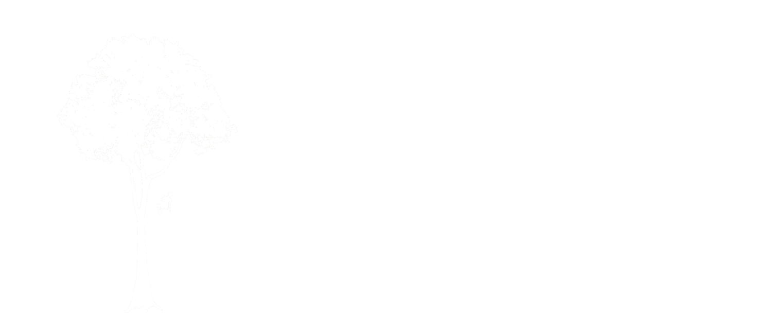 Jenkins Tree Care gallery 2