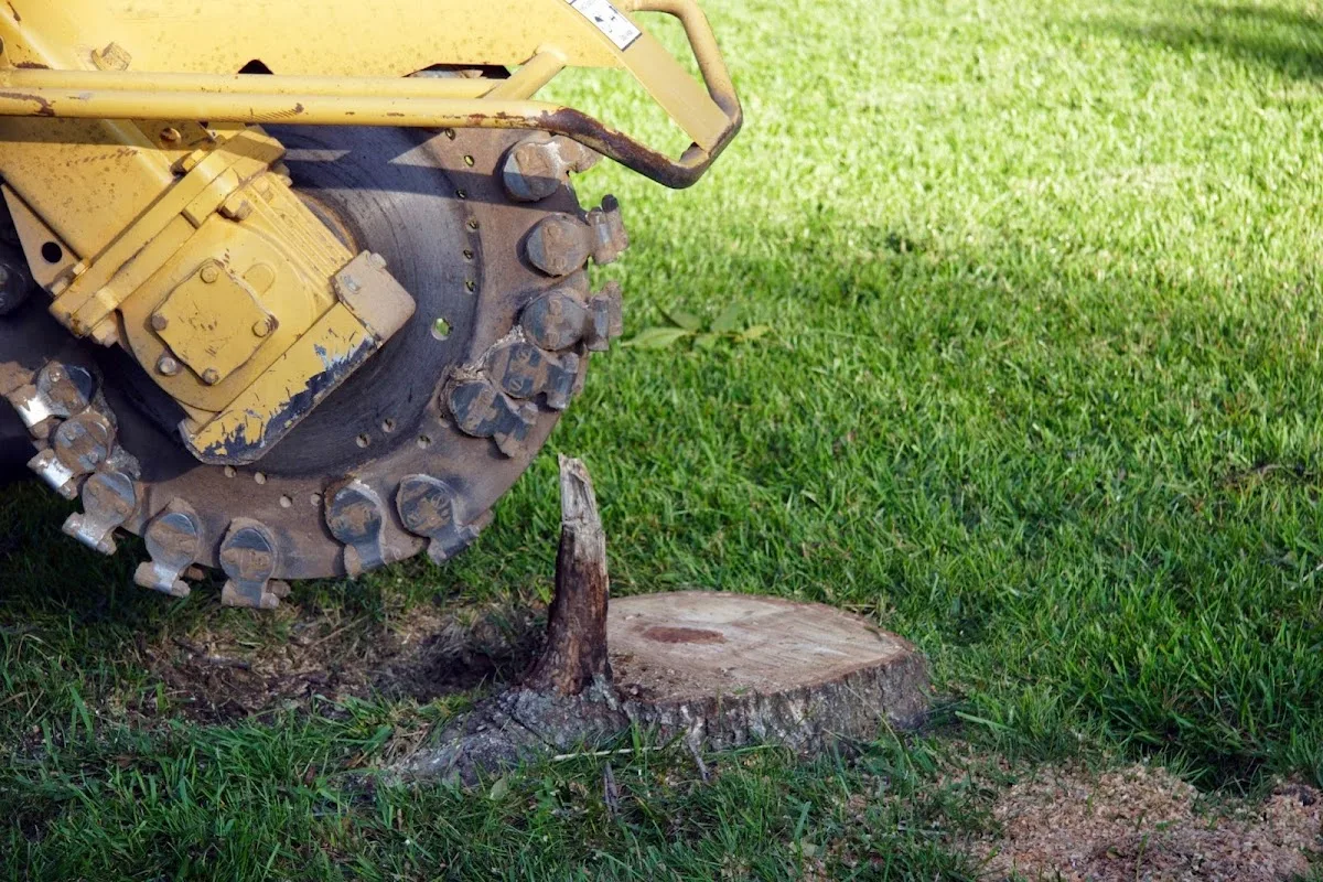 JJ's Professional Tree Service and Stump Removal, Inc.