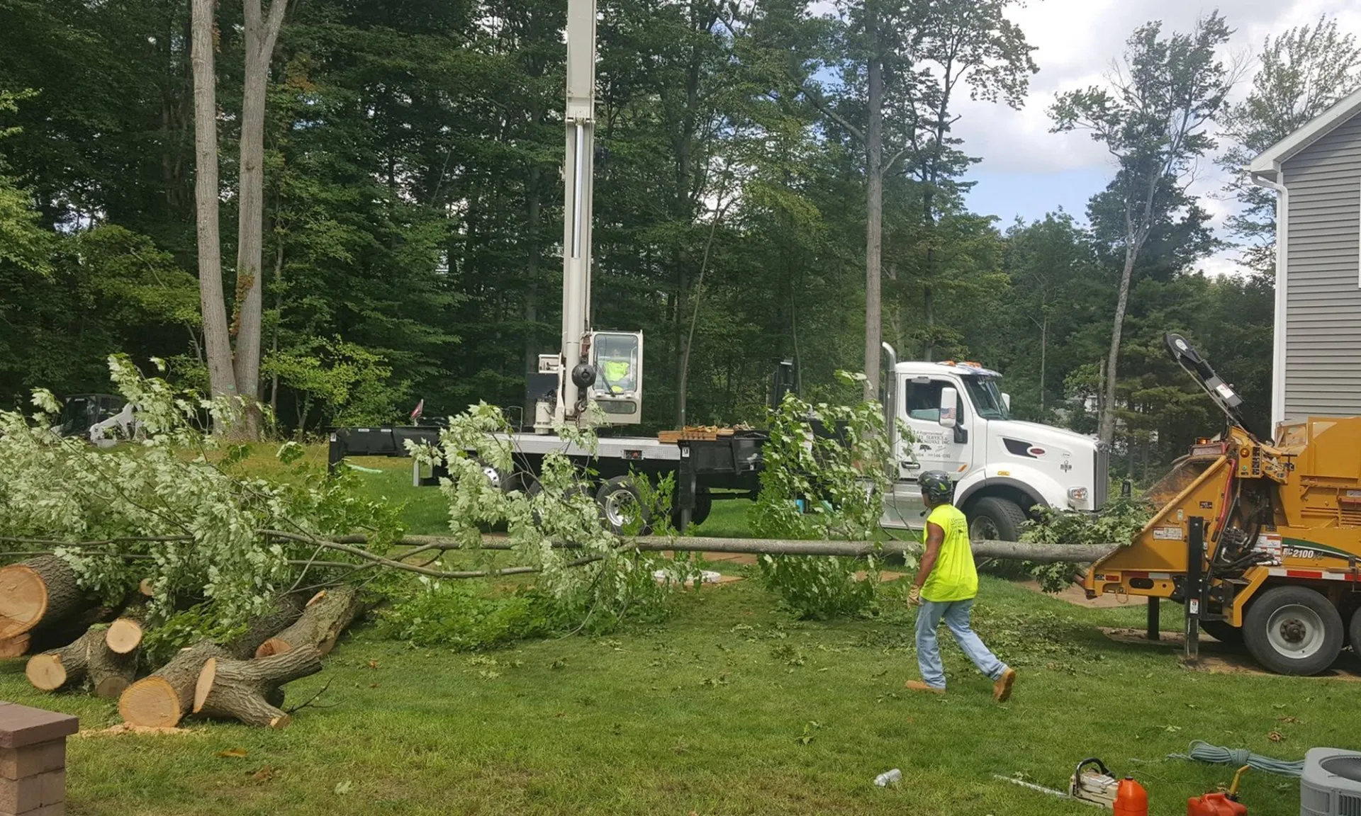 JJ's Professional Tree Service and Stump Removal, Inc. gallery 5