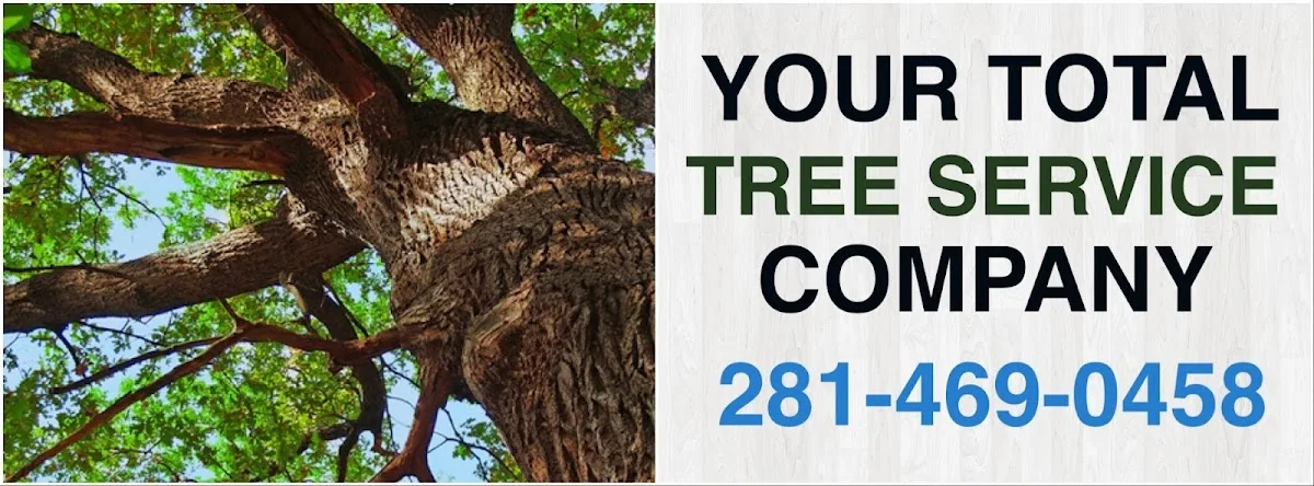 Jones Road Tree Service work site