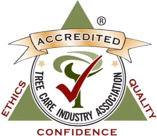 Jones Road Tree Service gallery 8