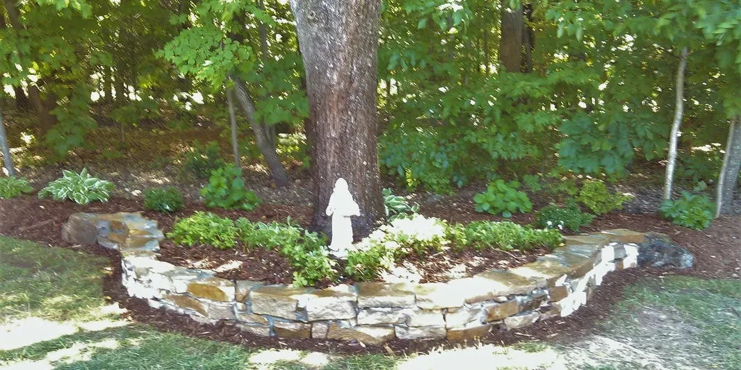 JR Tree Service & Landscaping gallery 10