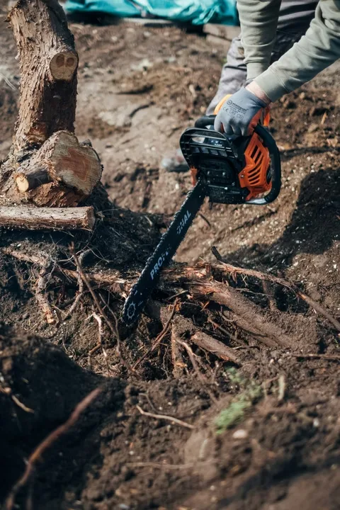 JT Tree Service gallery 7
