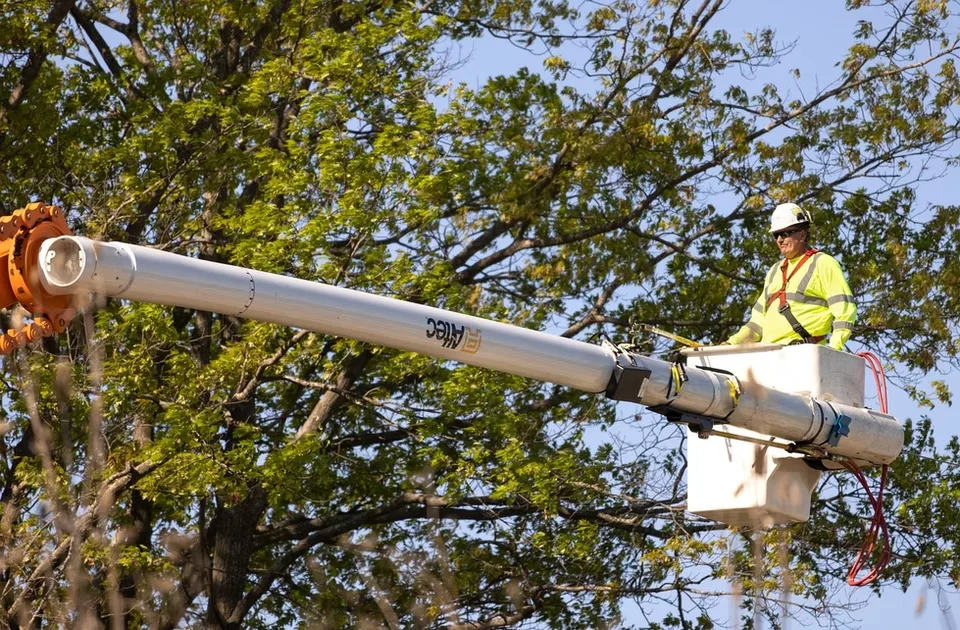JT Tree Service gallery 8