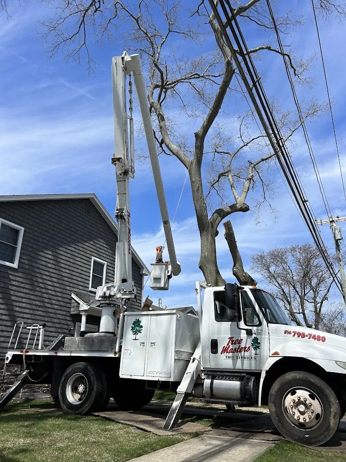 K & D Tree Masters Inc has local signals that shape the first call