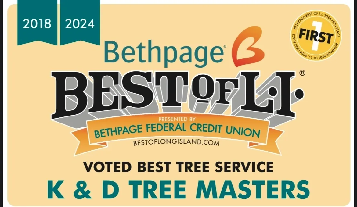K & D Tree Masters Inc gallery 2
