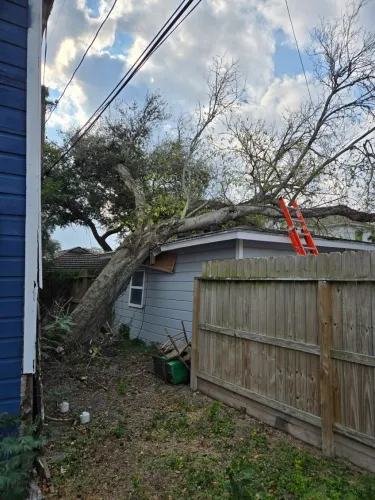 Kalbfleisch and Sons Tree Service gallery 5