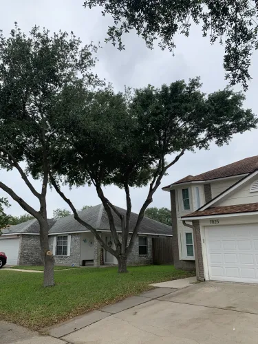 Kalbfleisch and Sons Tree Service gallery 7