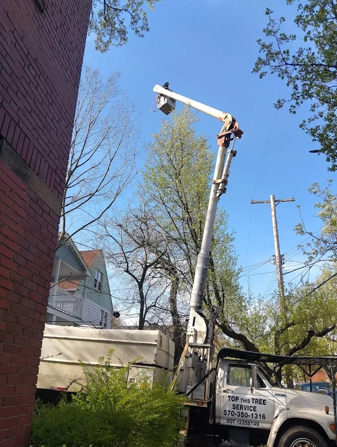 Kenwood Tree Service