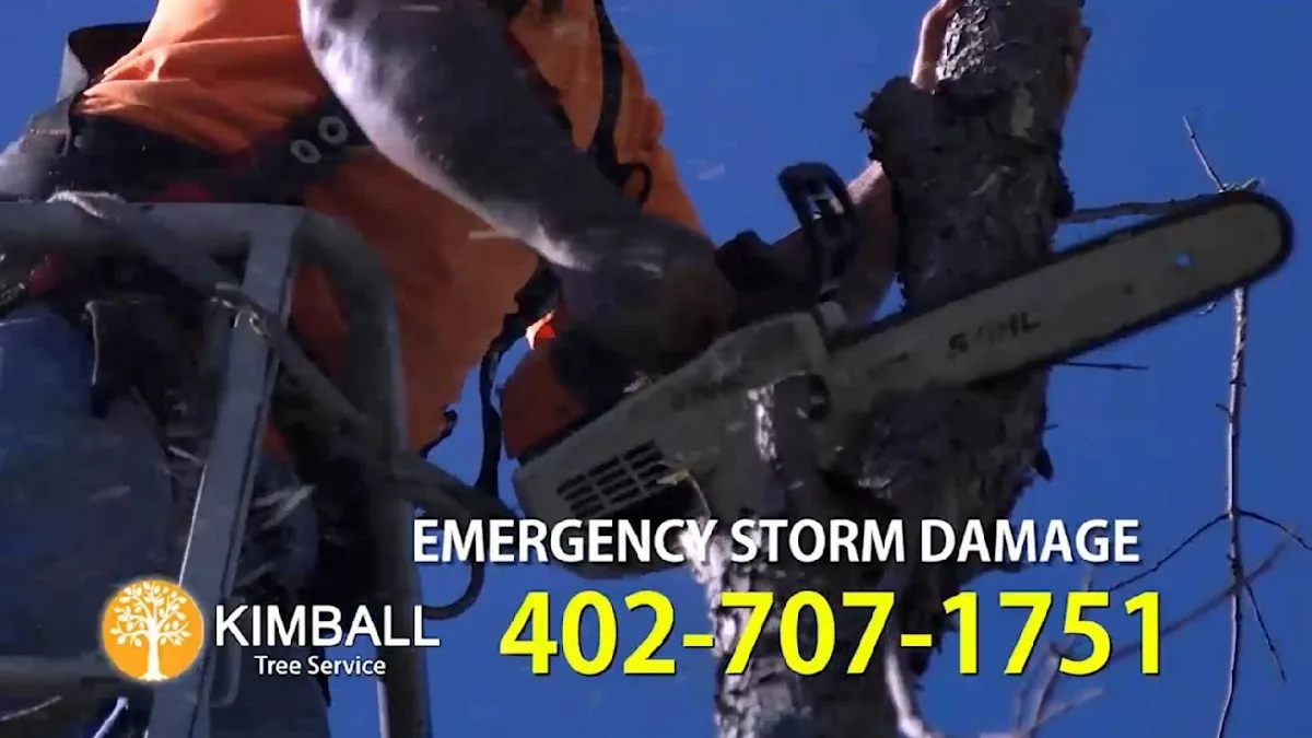 Kimball Tree Service