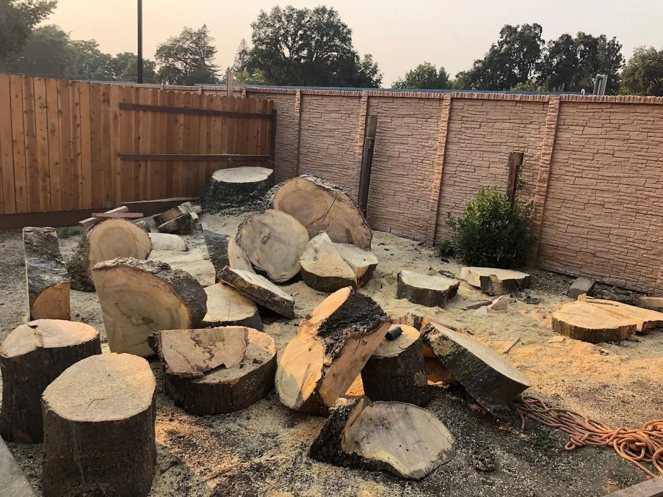 Kingdom Tree Services gallery 7