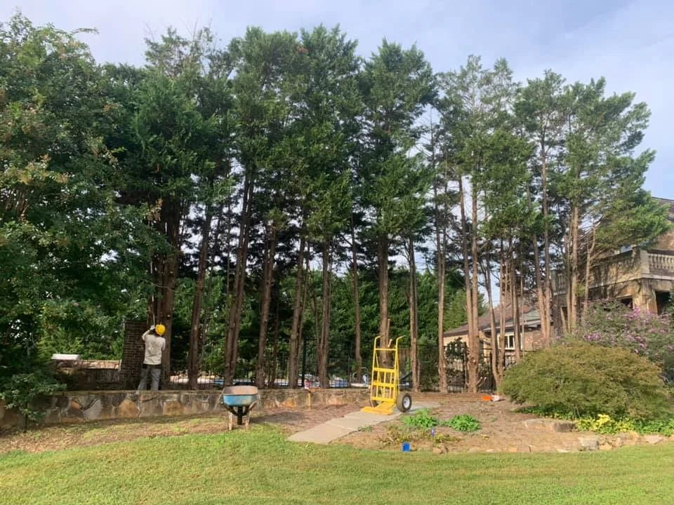 Leafy Legends Tree Service