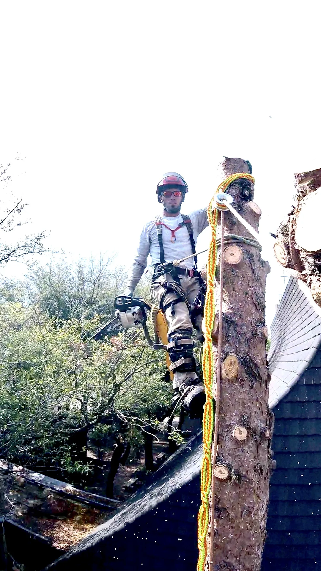 Leatherface Tree Service gallery 3