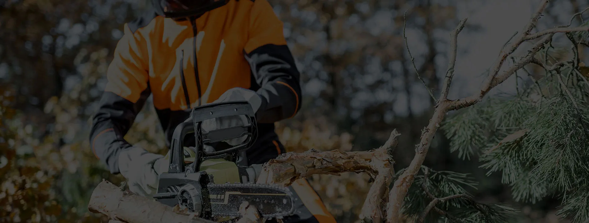 Lenk Tree Service gallery 2