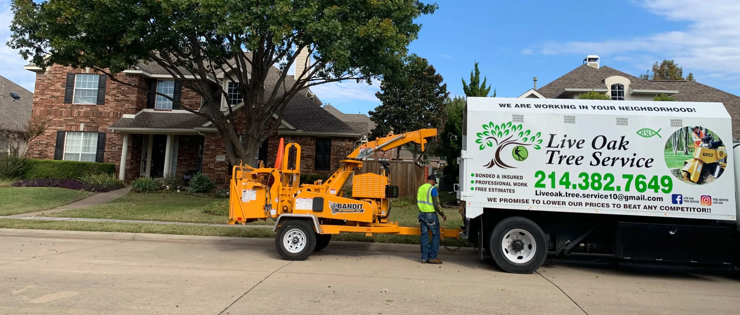Live Oak Tree Service gallery 6