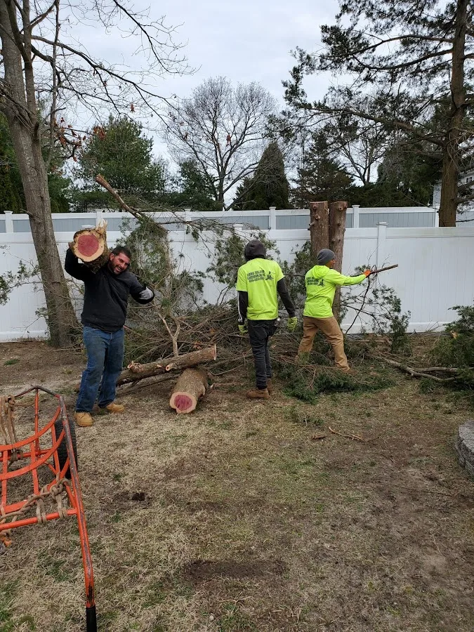 Long Island Lumber Jack of New York, Inc.