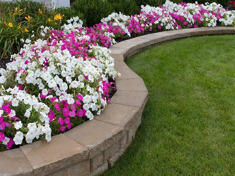 Long Island Tree & Landscape Service, Inc. gallery 3