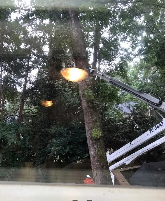 Longhorn Tree Service gallery 6