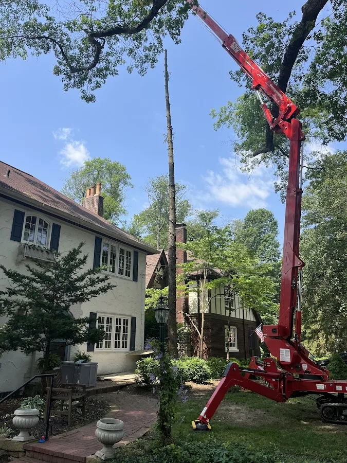 Lux Tree Service