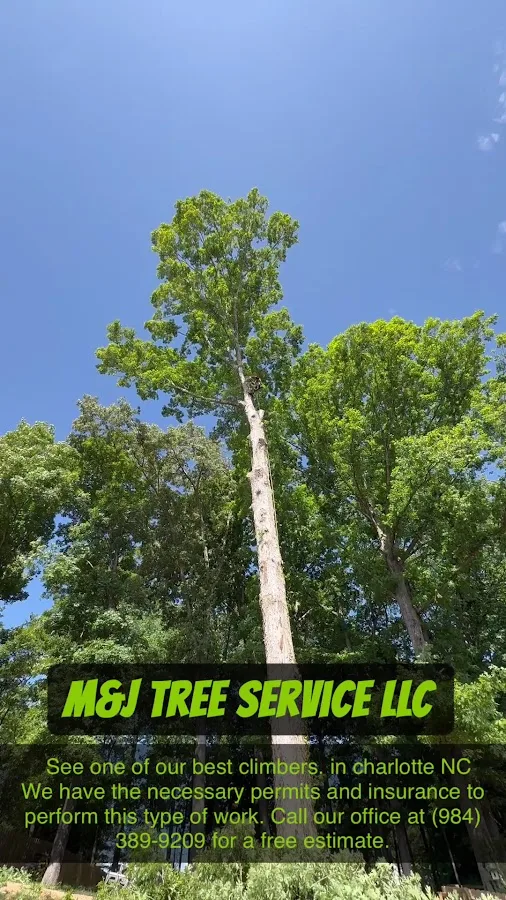 M&J Tree Service LLC