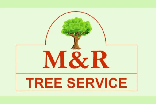 M & R Tree Service gallery 2