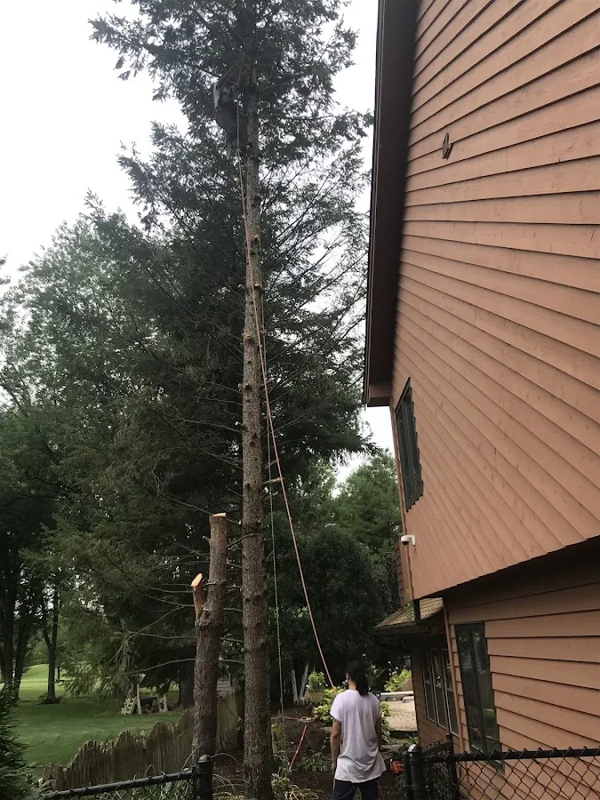 M&RG Tree Service Inc.