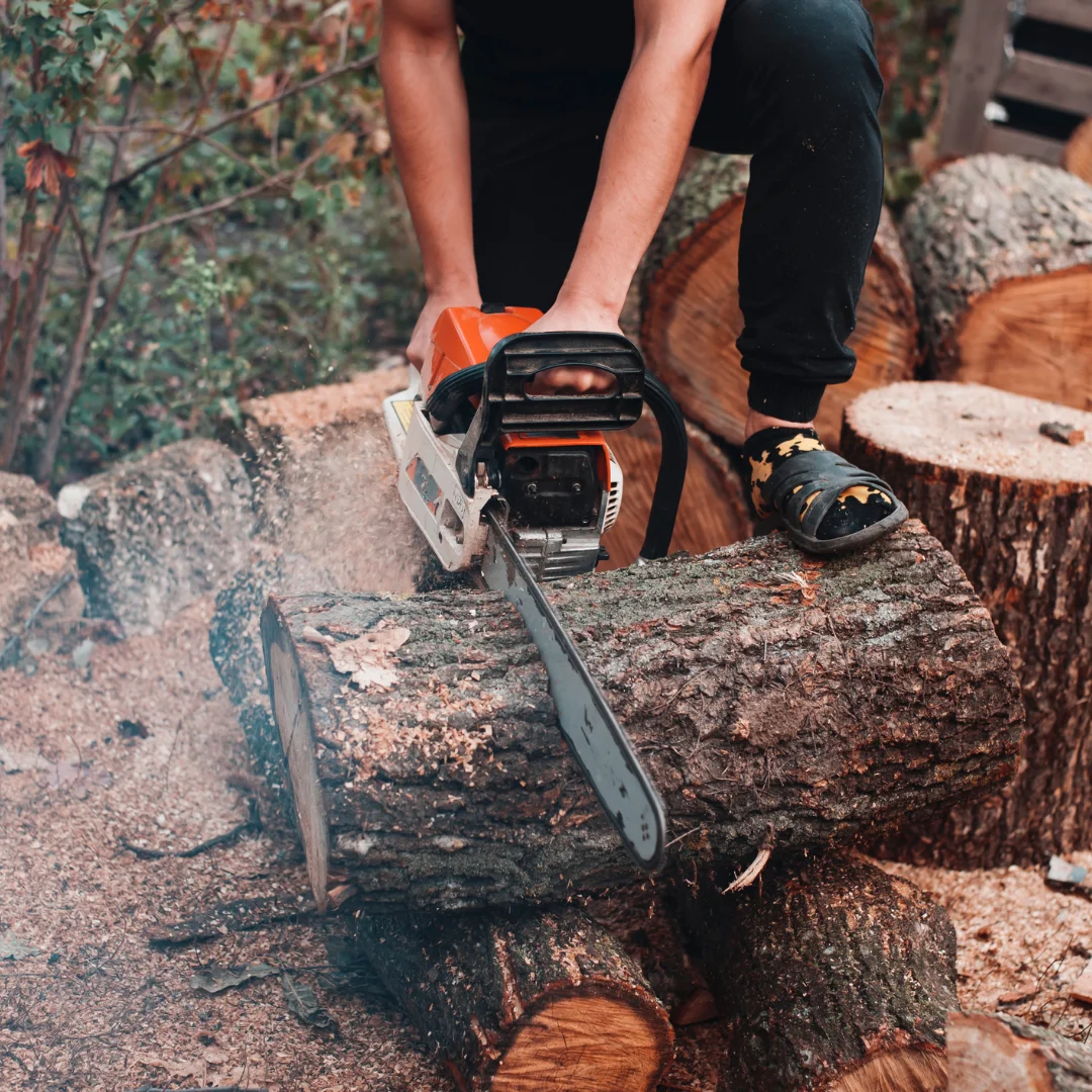 Manhattan Tree Removal gallery 6