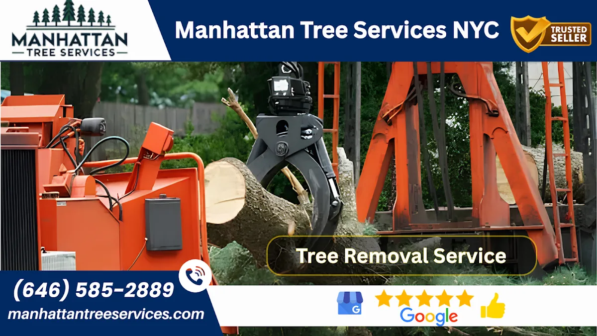 Manhattan Tree Services NYC gallery 2