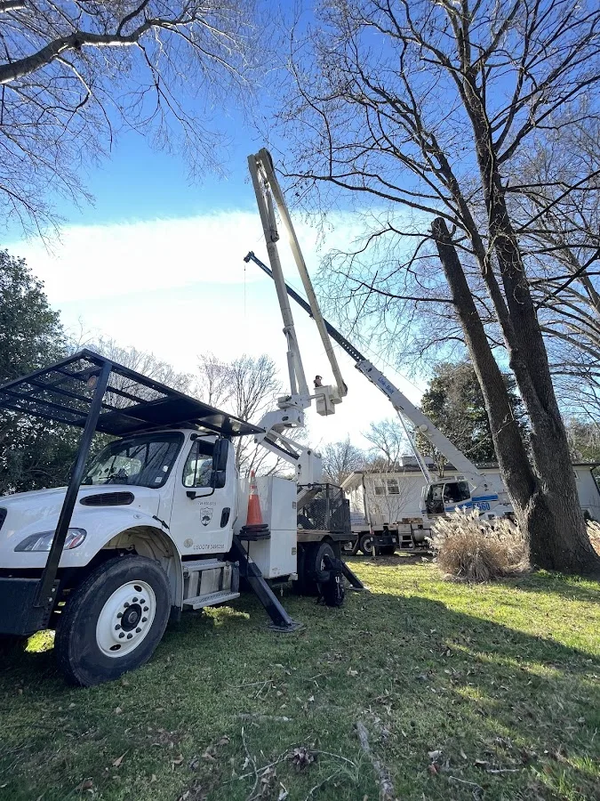 Marc's Tree Service work site