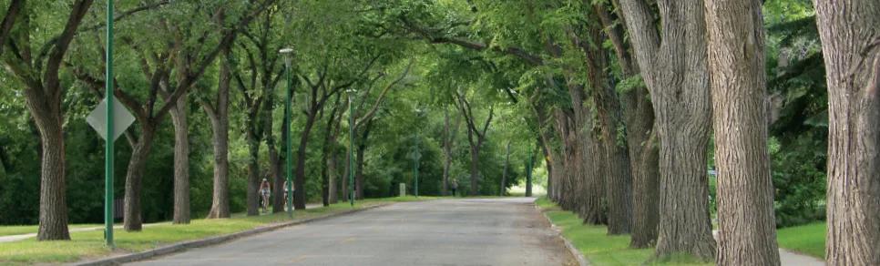 Marc's Tree Service gallery 5