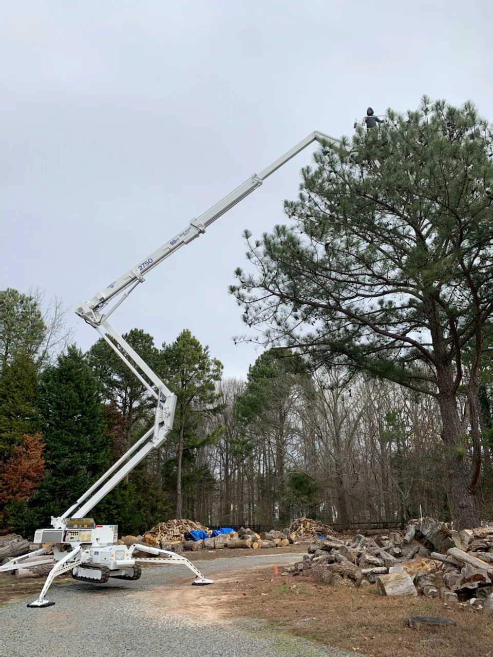 Marc's Tree Service gallery 6