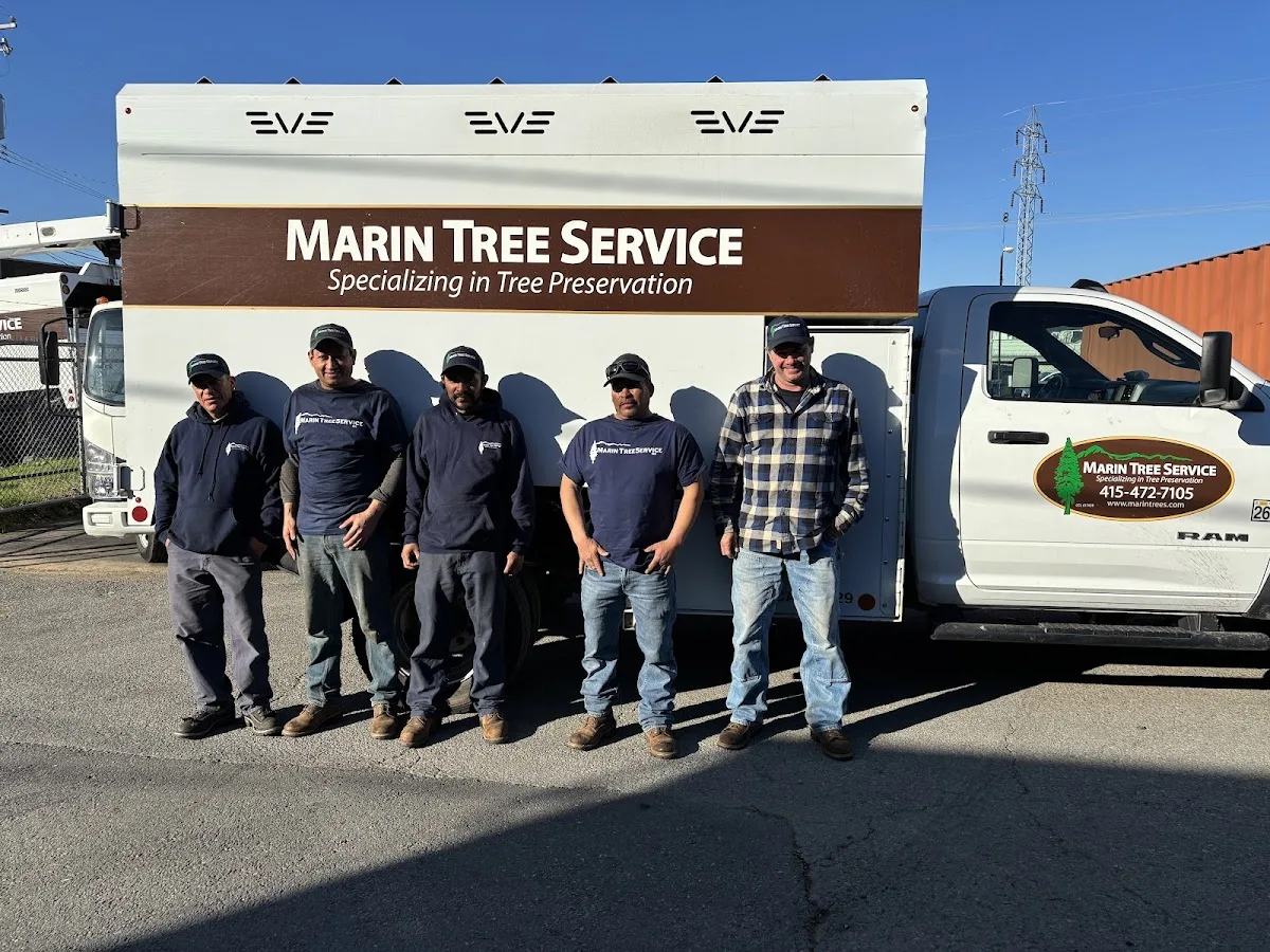 Marin Tree Service