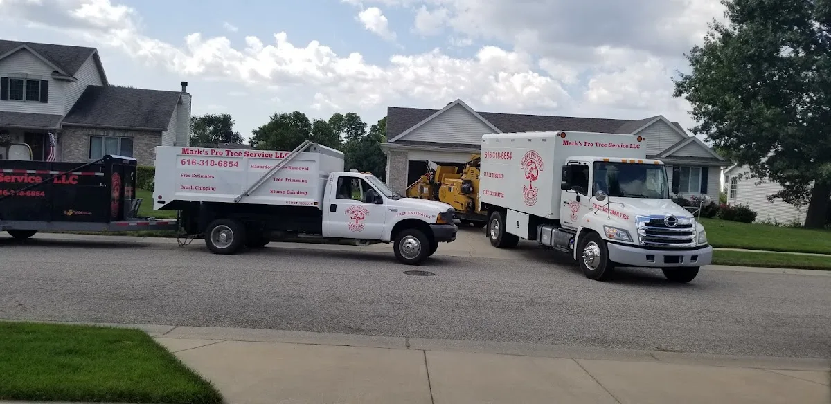 Mark's Professional Tree Service LLC