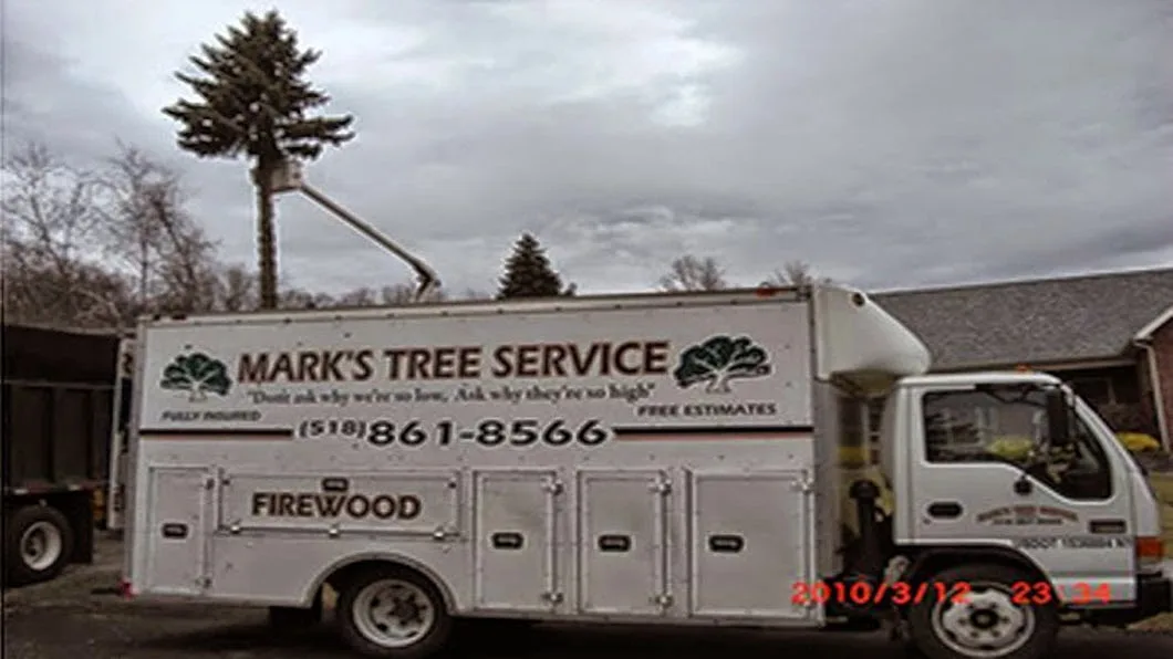 Mark's Tree Service