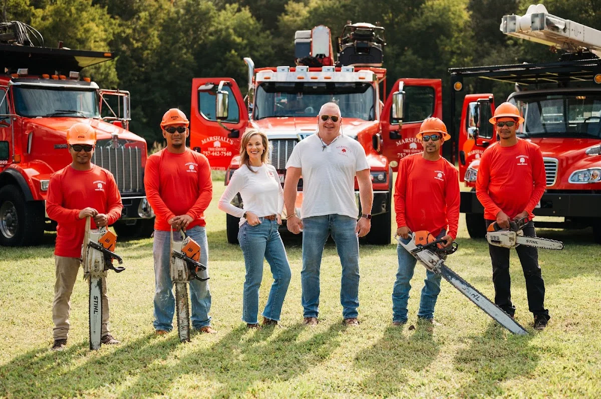 Marshall's Tree Service