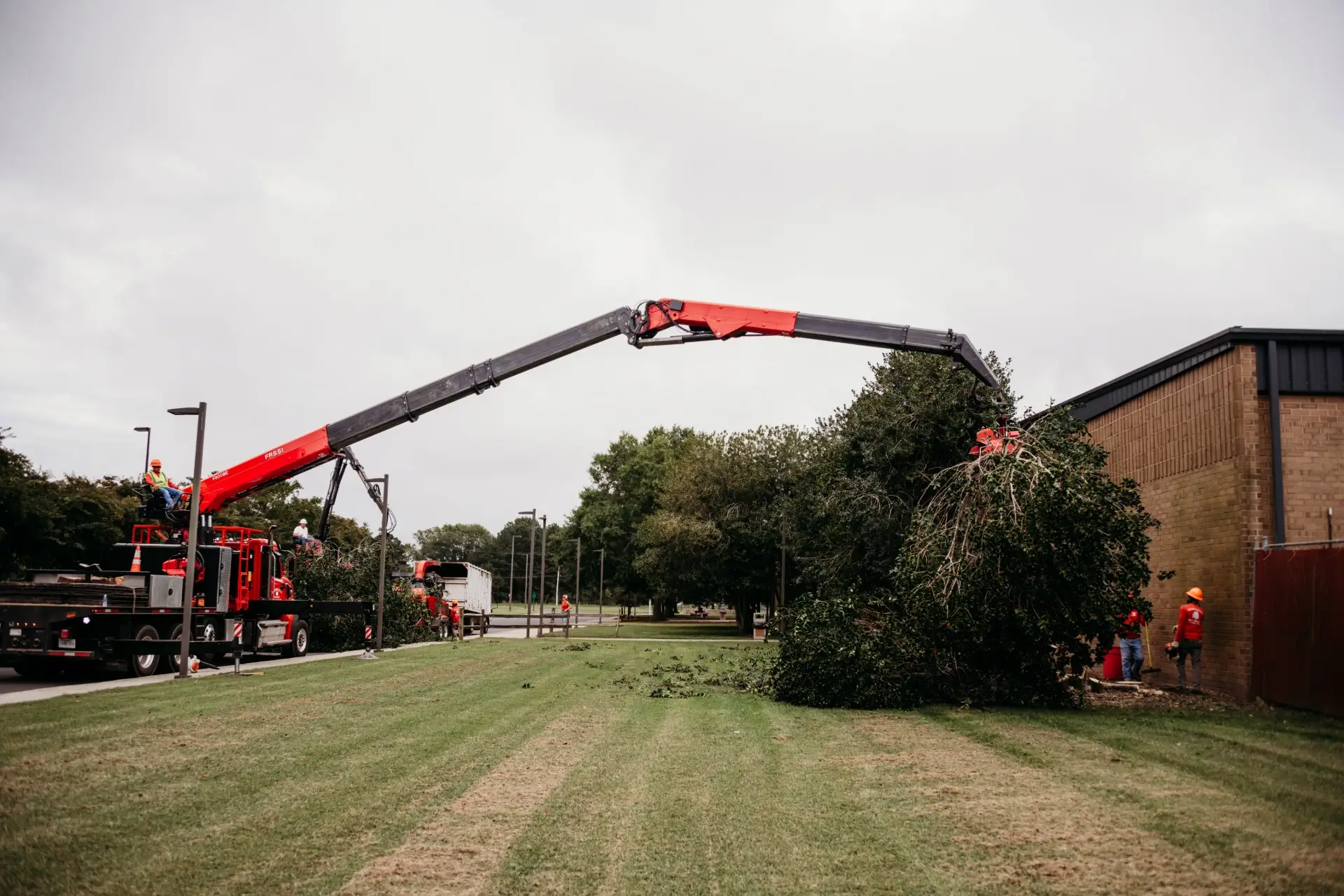 Marshall's Tree Service gallery 5